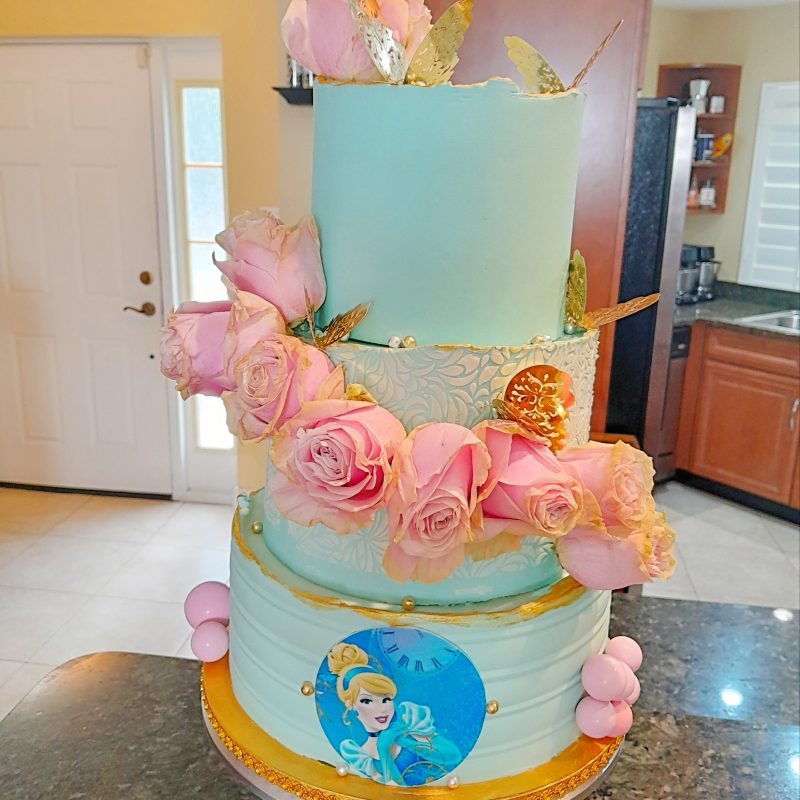 Princess Enchantment
